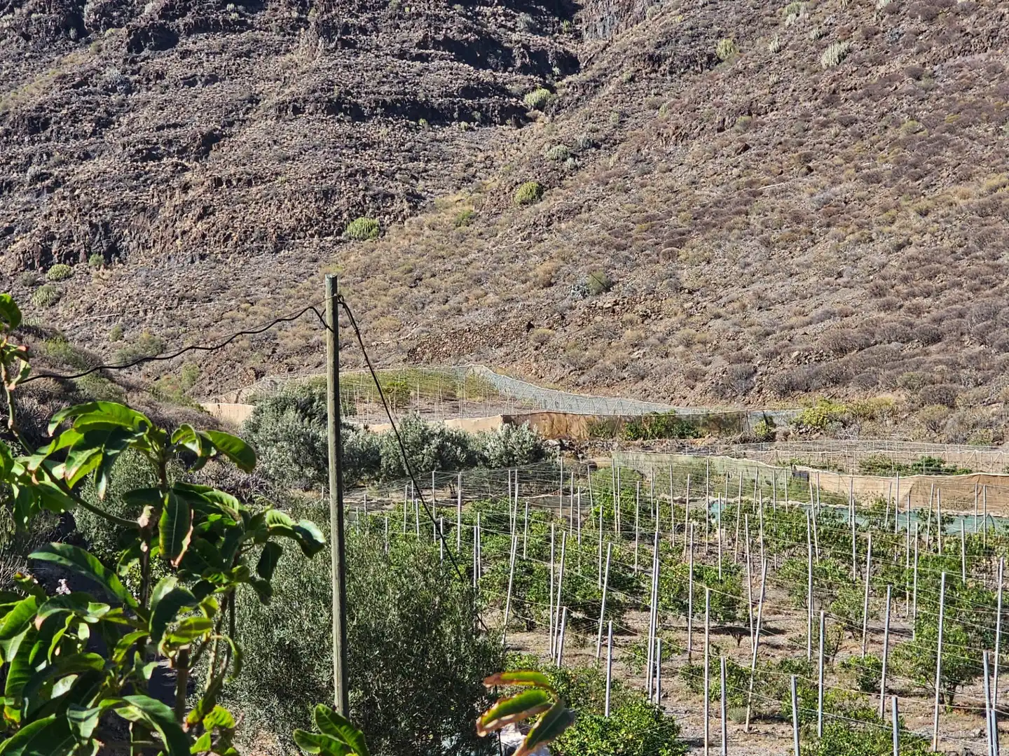 Jardín de Finca rústica en venta en La Aldea de San Nicolás  con Jardín privado, Terraza y Trastero