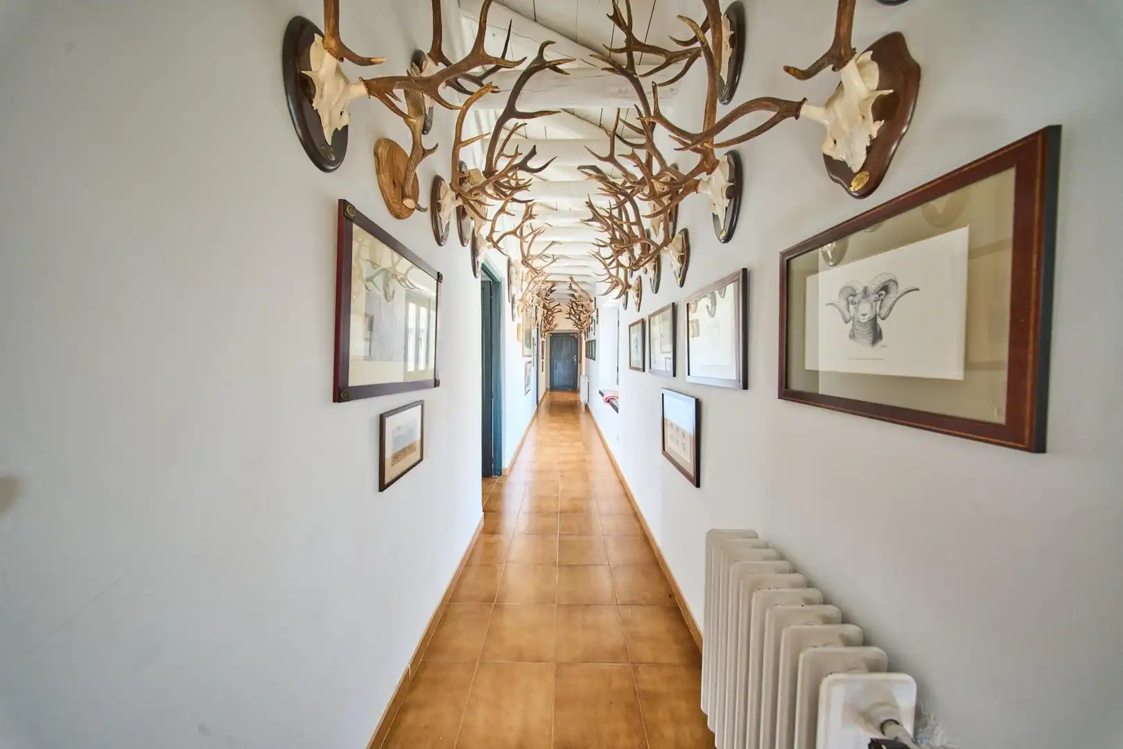 Finca rústica en venta en DISEMINADOS, 24, Puebla de Don Fadrique