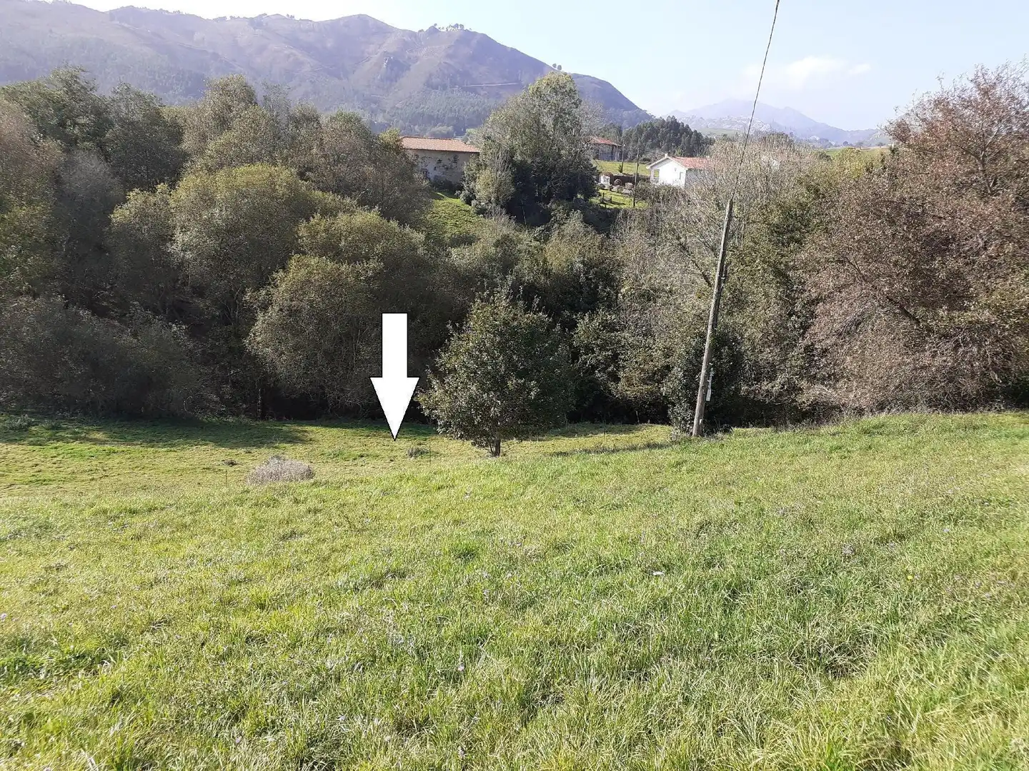 Terreny rústic en venda a Ribadesella, imagen 5