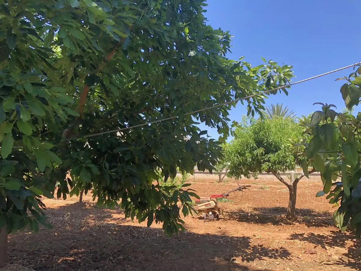 Maison rustique à vendre à Ondara, imagen 26