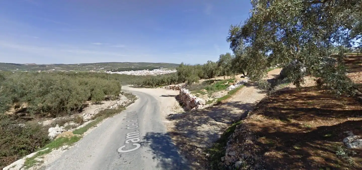 Rural land for sale in Camino de la Dehesa, imagen 5
