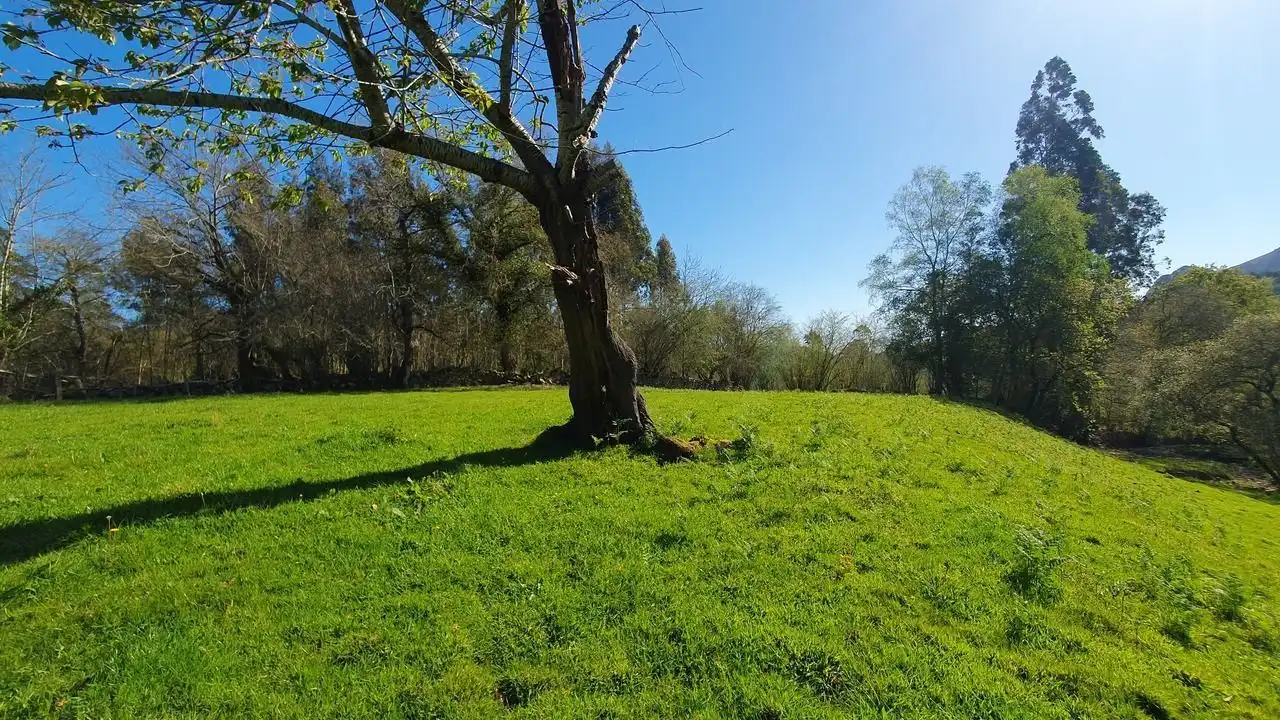Finca rústica en venta en Llanes