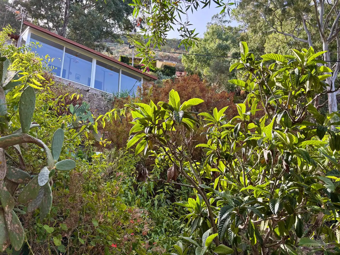 Jardí de Finca rústica en venda en Santa Brígida amb Rentadora