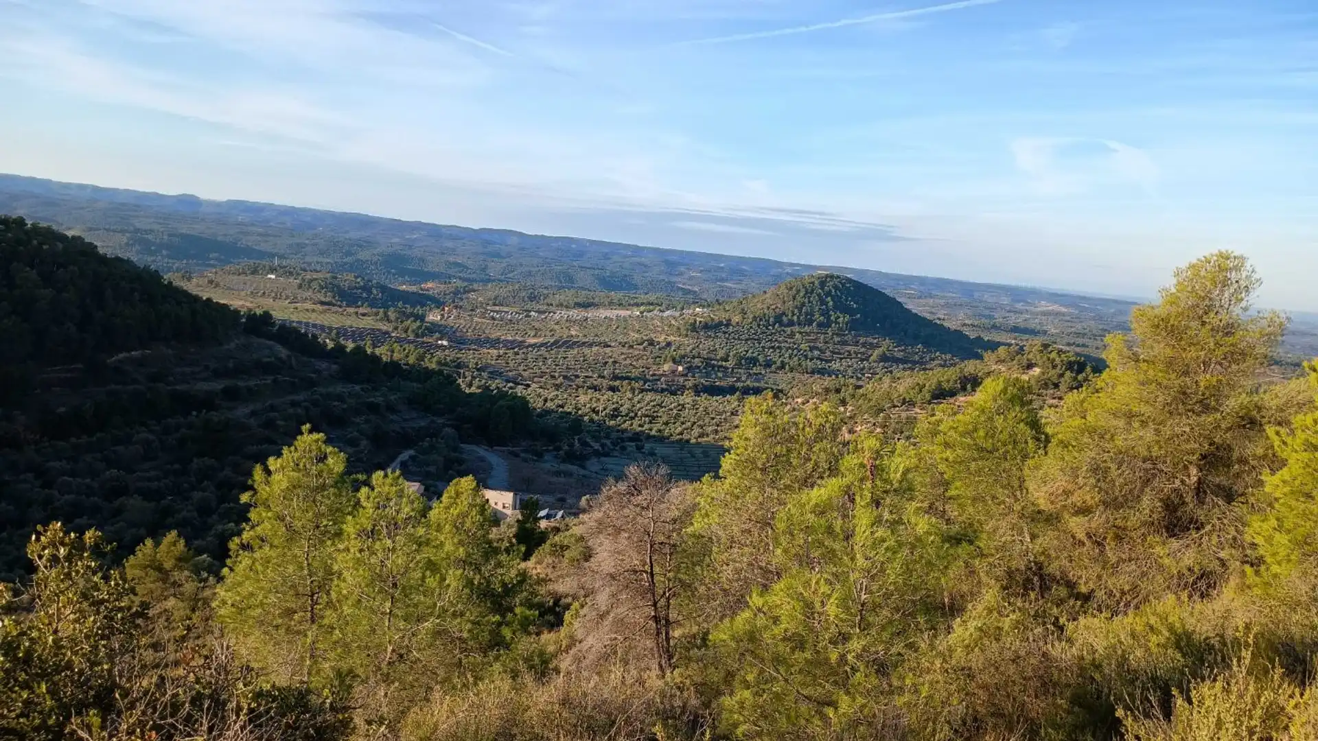 Terreno en venta en Cervià de Les Garrigues