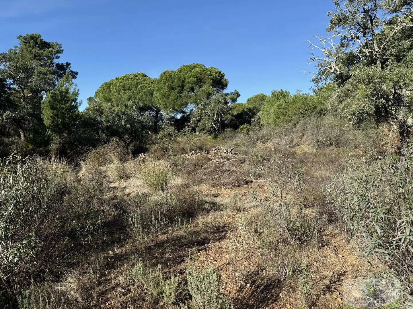Residencial en venda en Berrocal