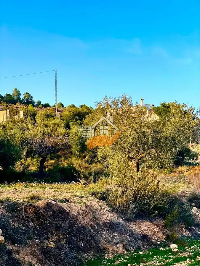 Lands and plots for sale in Vélez-Rubio, imagen 22