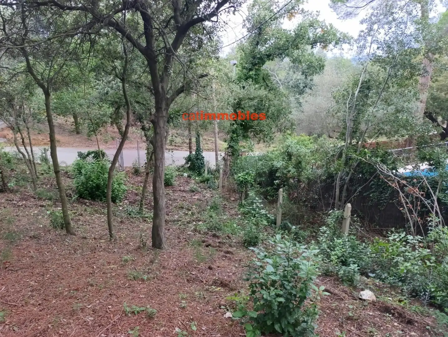 Terreny residencial en venda a Rosa Mariné, imagen 26