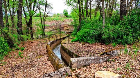 Foto 4 de Terreno en venta en Polígono 7 Paraje 45 Nerets, Talarn, Lleida