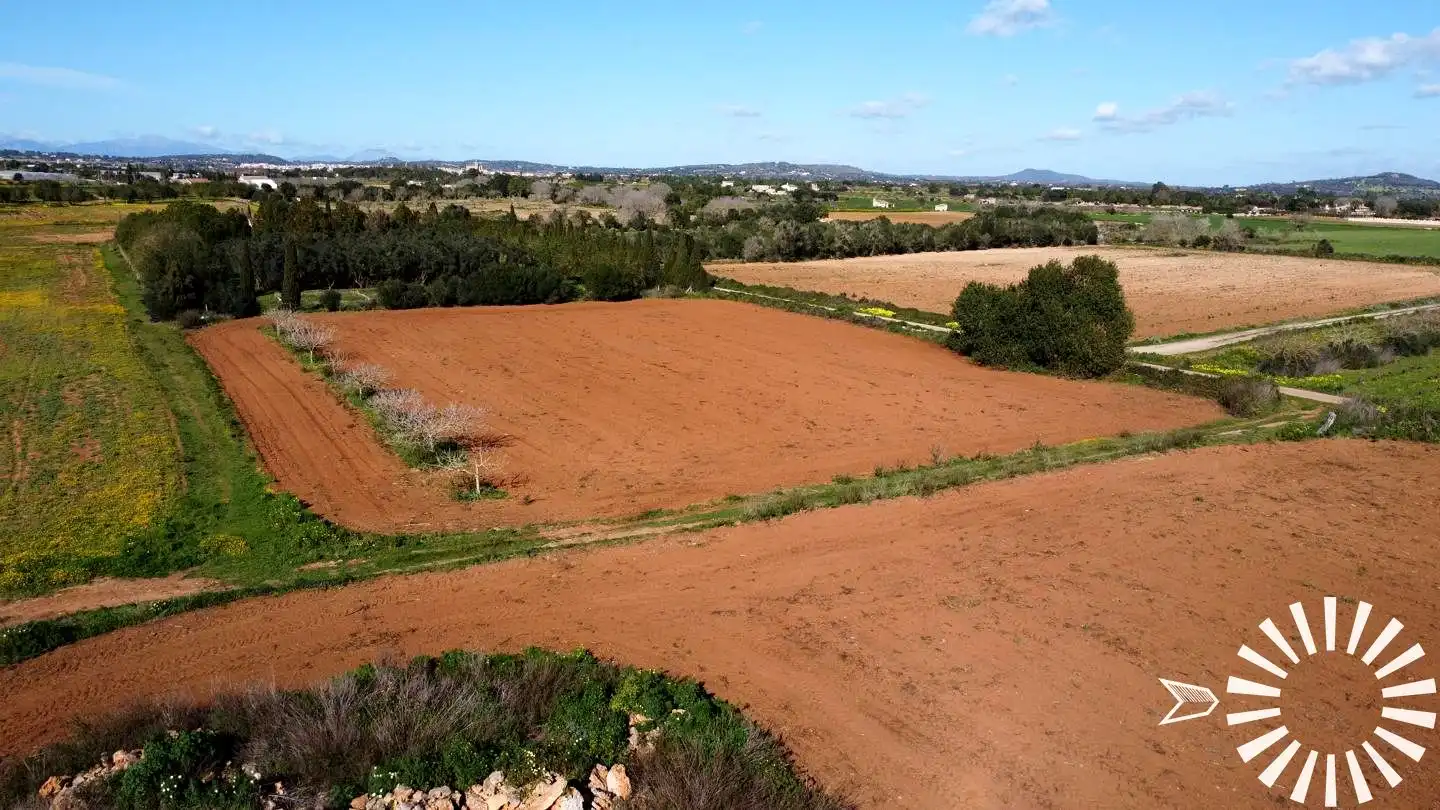 Terrain rustique à vendre à Cami de Son Pau, imagen 25