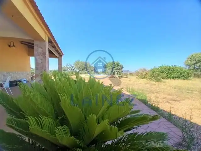 Rural land for sale in Fuente Obejuna, imagen 7