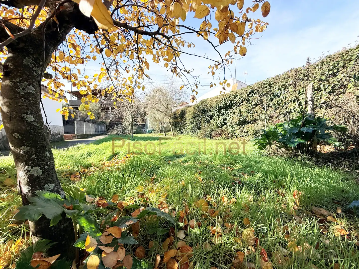 Casa o chalet en venta en Calle de la Dalia, El Tiemblo