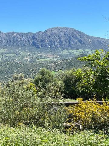 Finca rústica en Venta en Gaucín