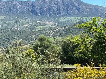 Casa rustica in vendita a Gaucín