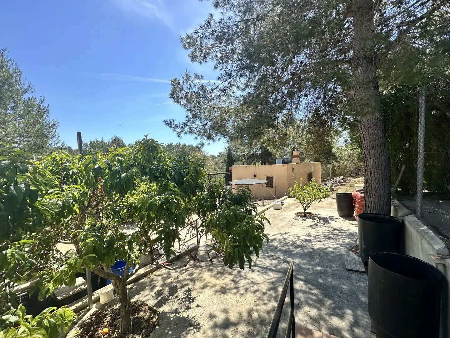 Jardín de Casa o chalet en venta en Sot de Ferrer con Aire acondicionado, Jardín privado y Terraza