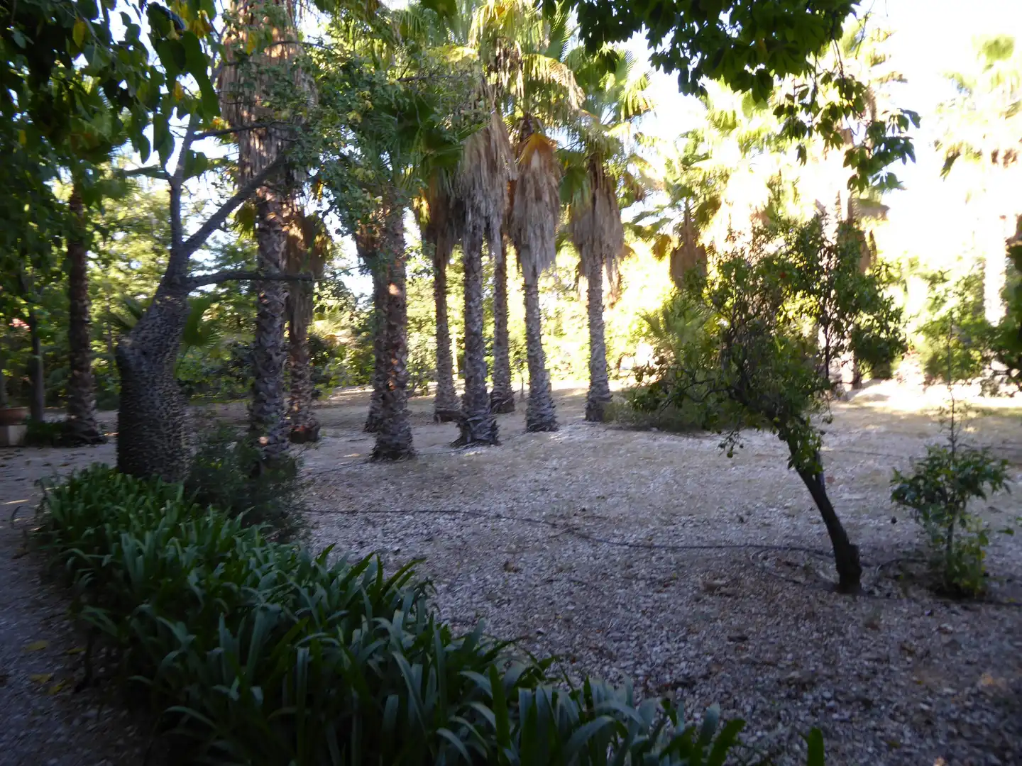 Jardí de Casa o xalet en venda en Beniarbeig