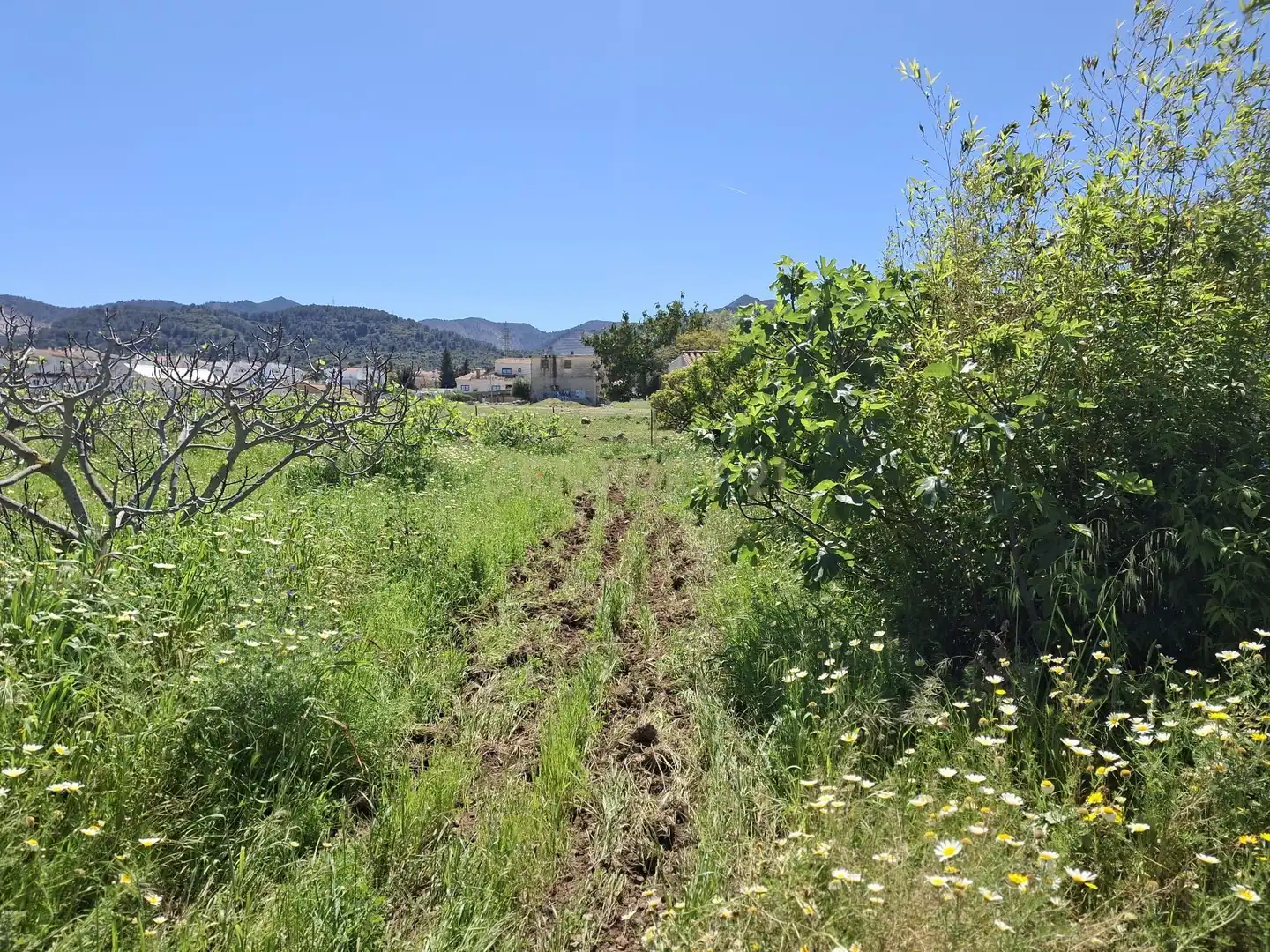 Terreni e lotti in vendita a Calle Tubelorda, Alhaurín de la Torre, Spain, imagen 15
