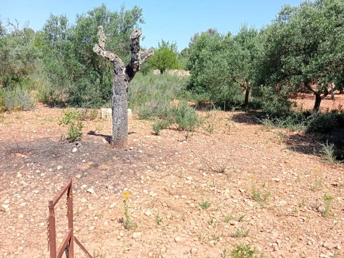 Casa o chalet en venta en Porreres