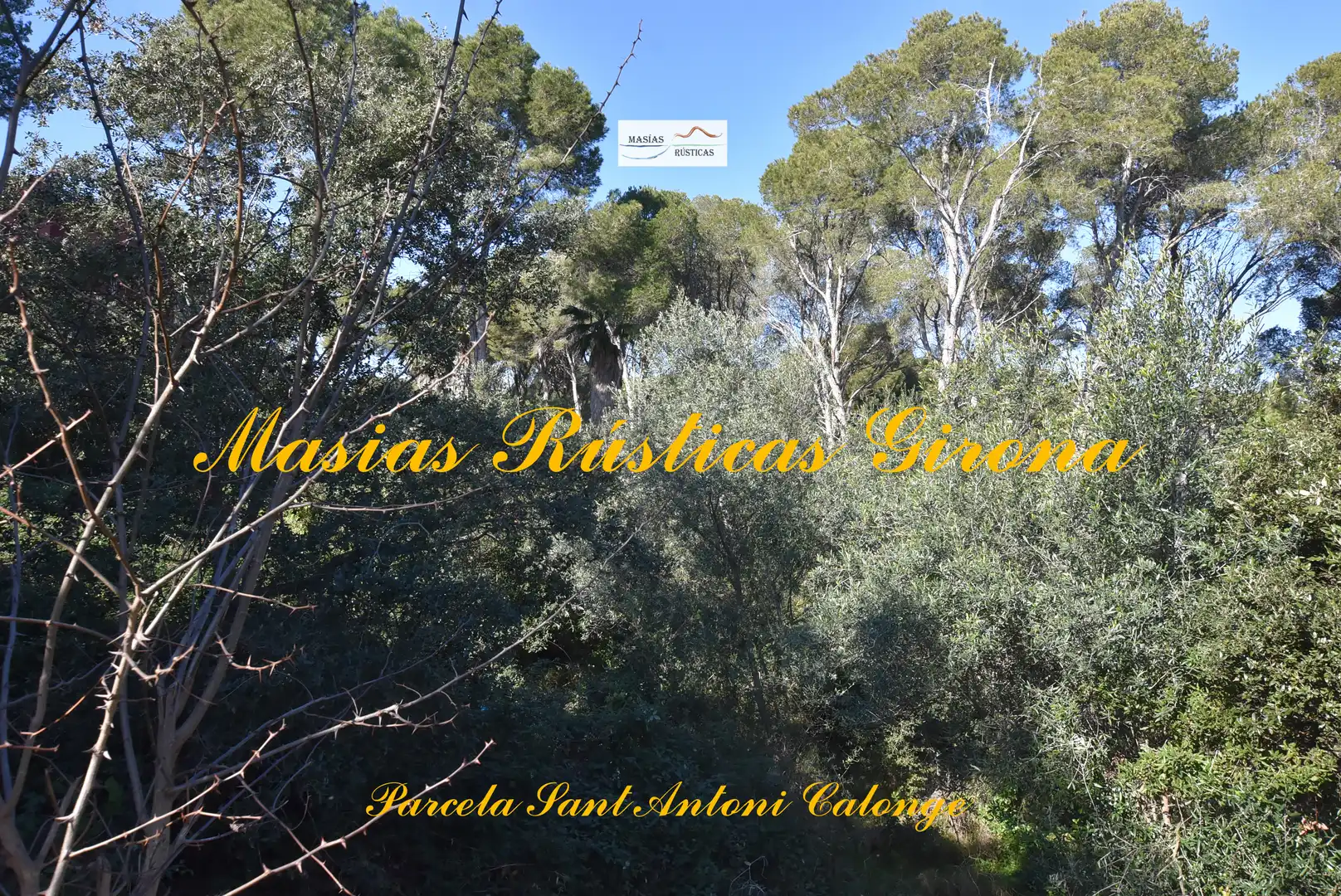 Residential land for sale in Carrer Cadí 6, imagen 10
