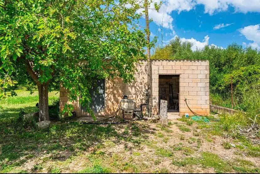 Rural land for sale in Santa Margalida Poble, imagen 3