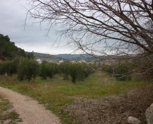 Land for sale in El Pont d'Armentera