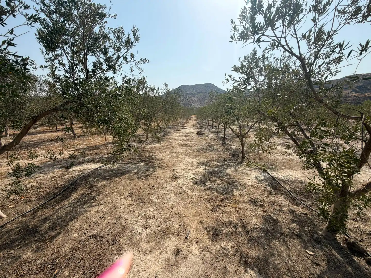Terreno rustico in vendita a Santa Fe de Mondújar, imagen 17