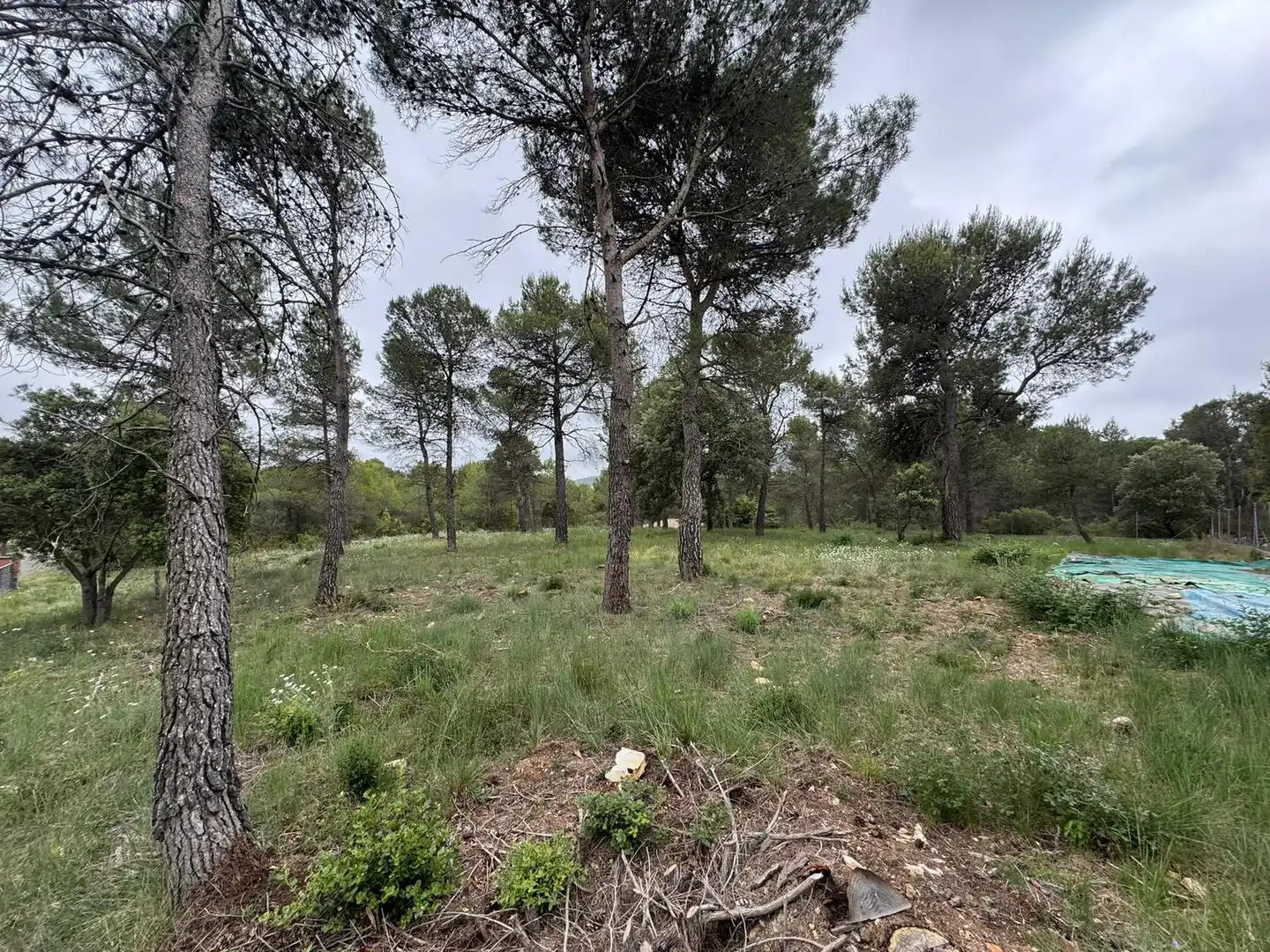 Terreno residenziale in vendita a Avinguda del Bosc, imagen 13