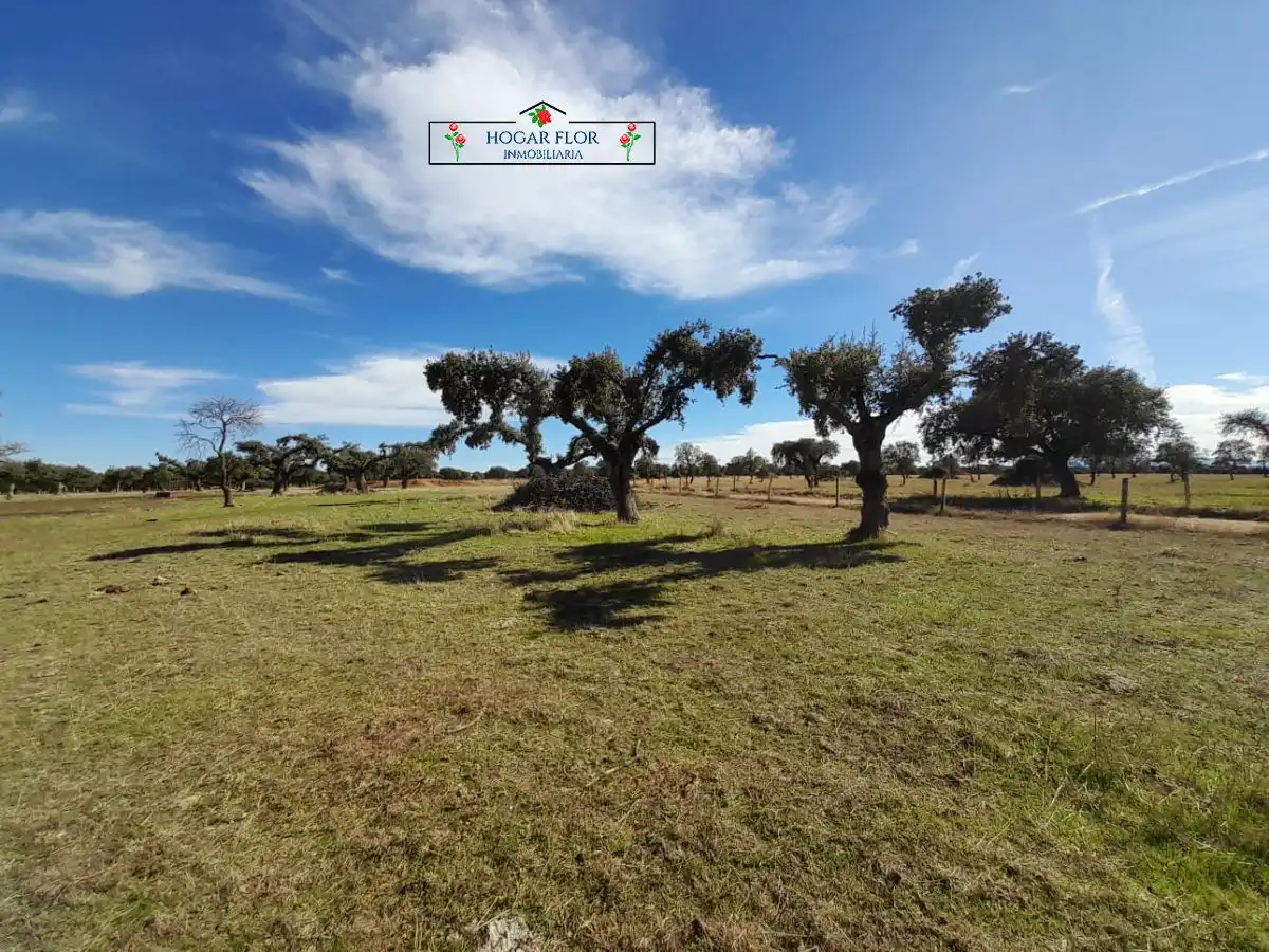 Finca rústica en venta en Carrascal del Obispo