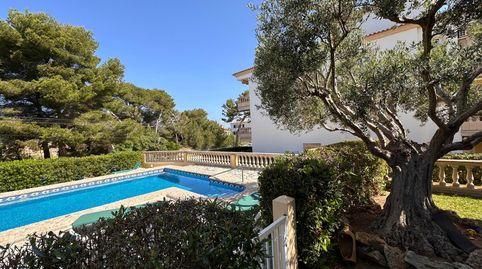 Photo 4 of Flat for rent in Ca` N Picafort - Passeig Colon, Can Picafort, Santa Margalida