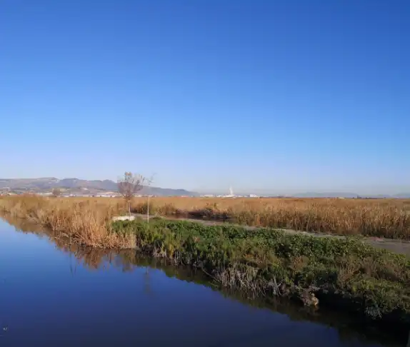 Rustikales Grundstück zum Verkauf in La Llosa, imagen 4