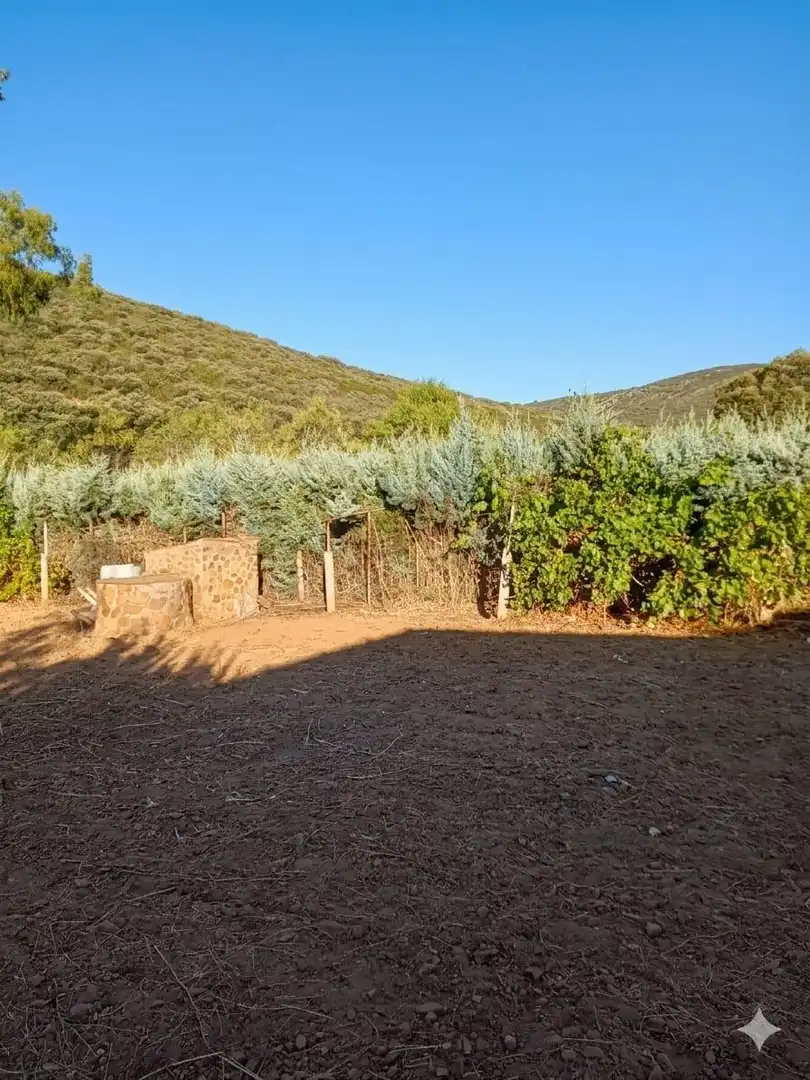 Casa o xalet en venda en Piedrabuena amb Calefacció, Jardí privat i Terrassa