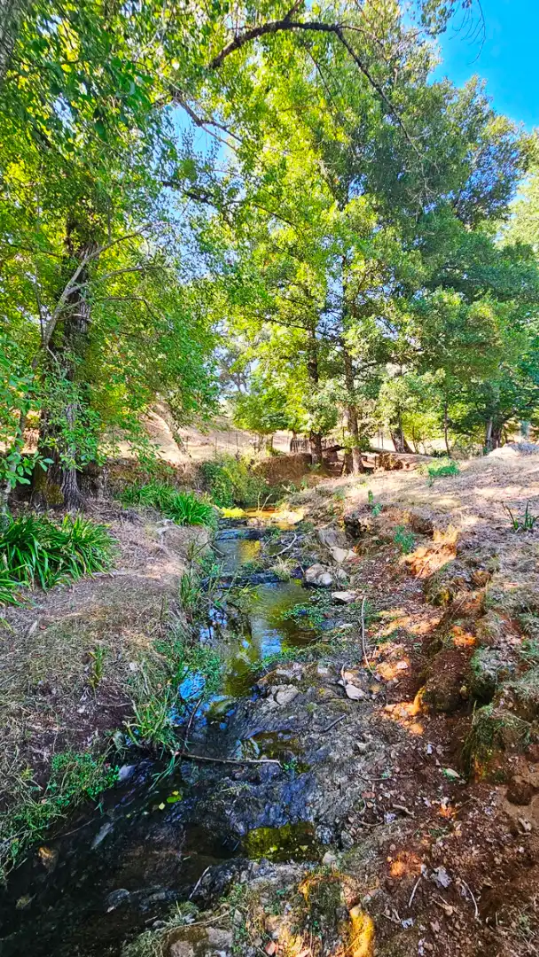 Casa o chalet en venta en Cortelazor con Jardín privado, Terraza y Trastero