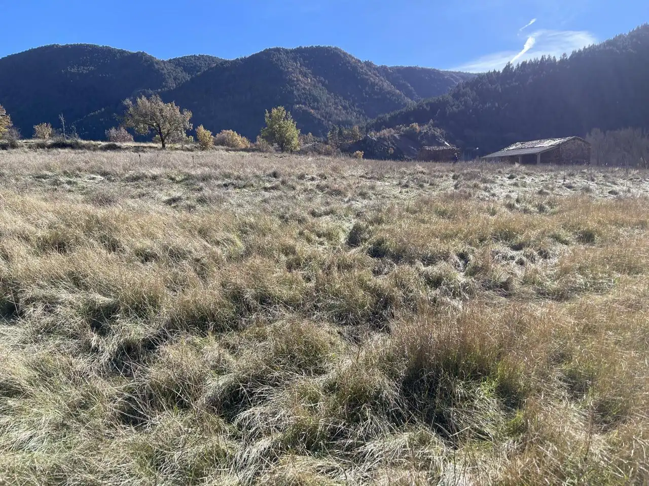 Land for sale in El Pont de Bar