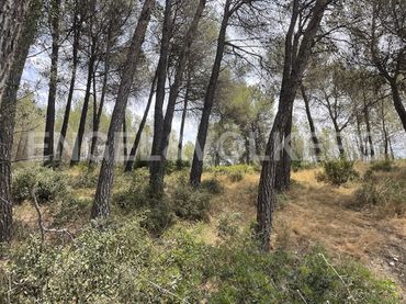 Terreno residenziale in vendita a Sant Muç