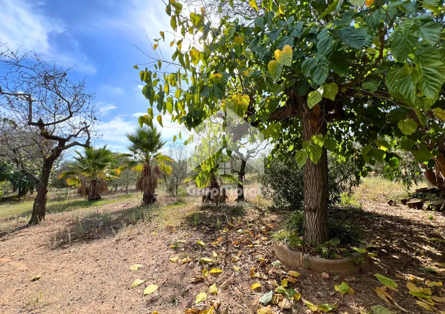 Terreno en venta en La Selva del Camp, Tarragona