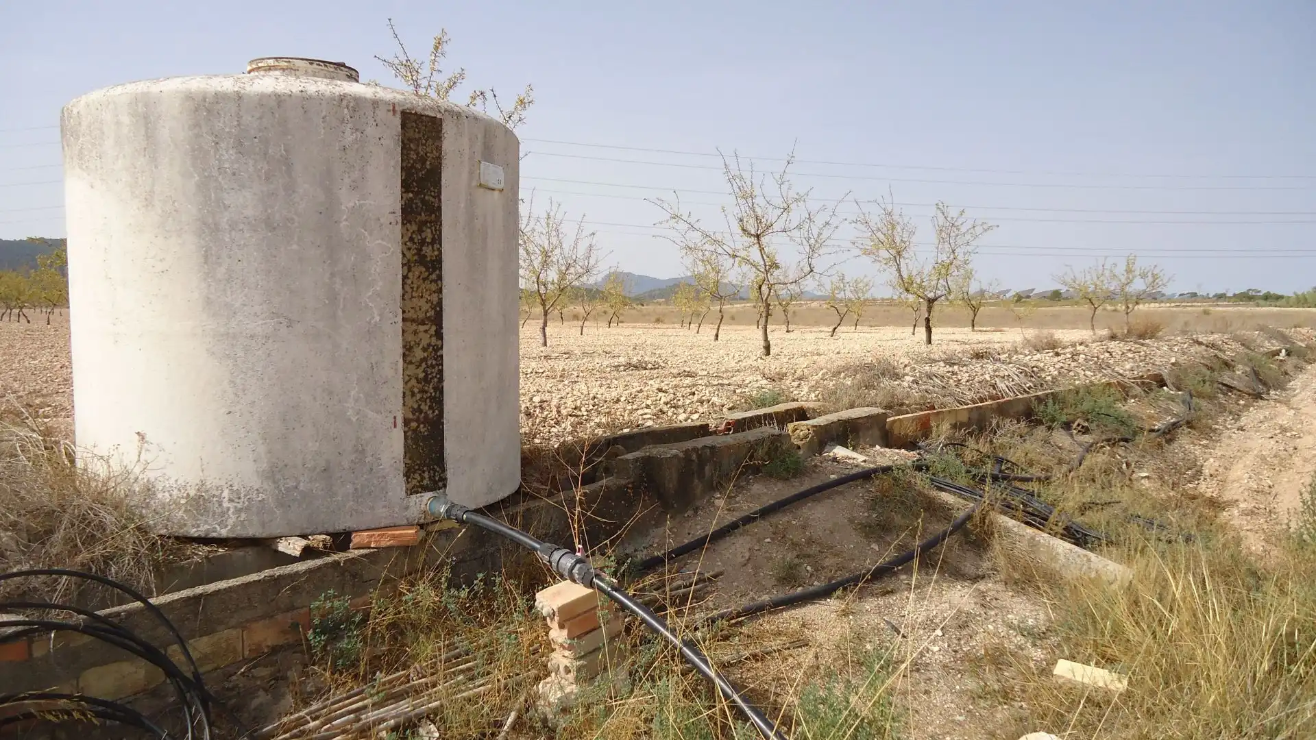 Rustikales Grundstück zum Verkauf in Jumilla, imagen 14
