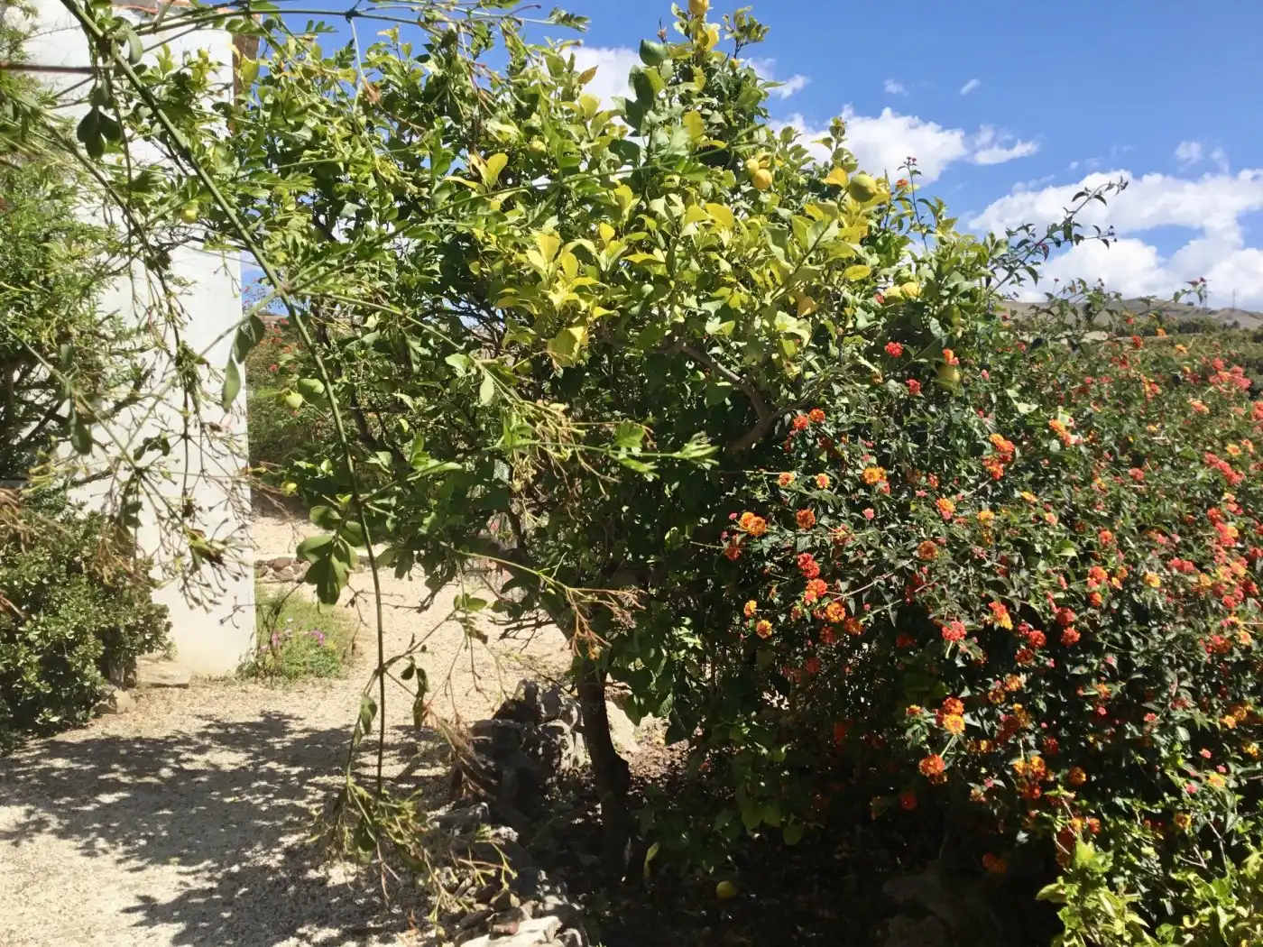 Edificio en venta en Almayate