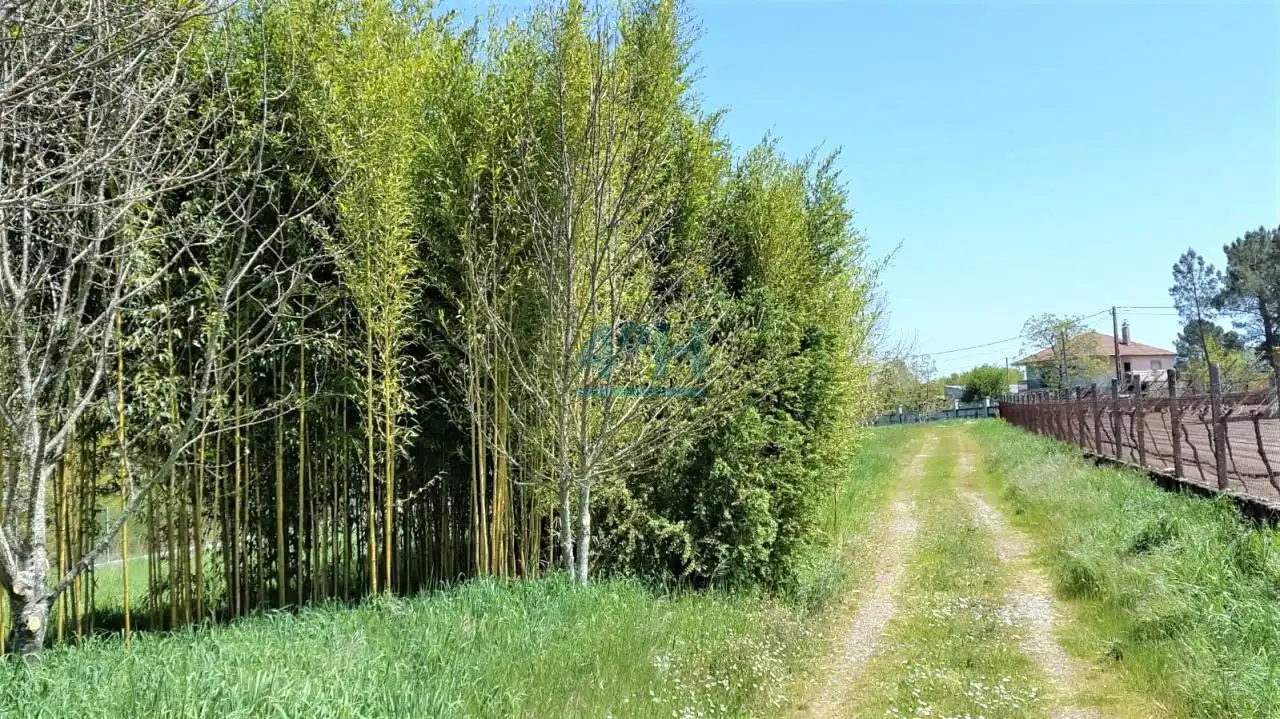 Terreni e lotti in vendita a Vilamarín, imagen 5