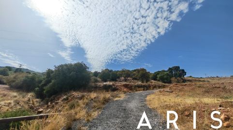 Foto 4 de Terreno en venta en Platero - El Limón, Alhaurín de la Torre