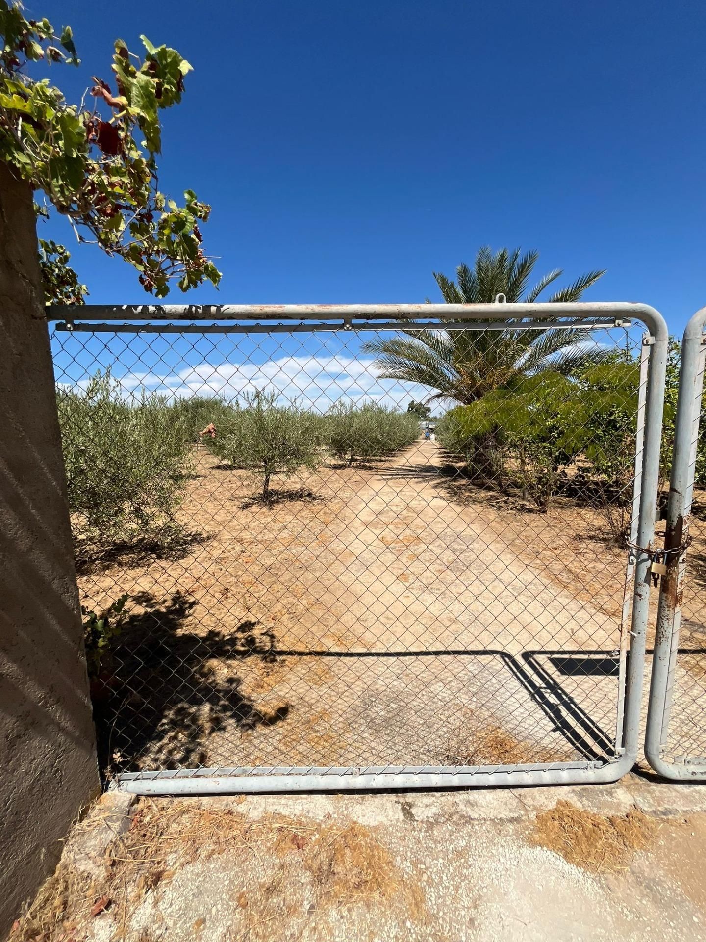 Land for sale in Marchena