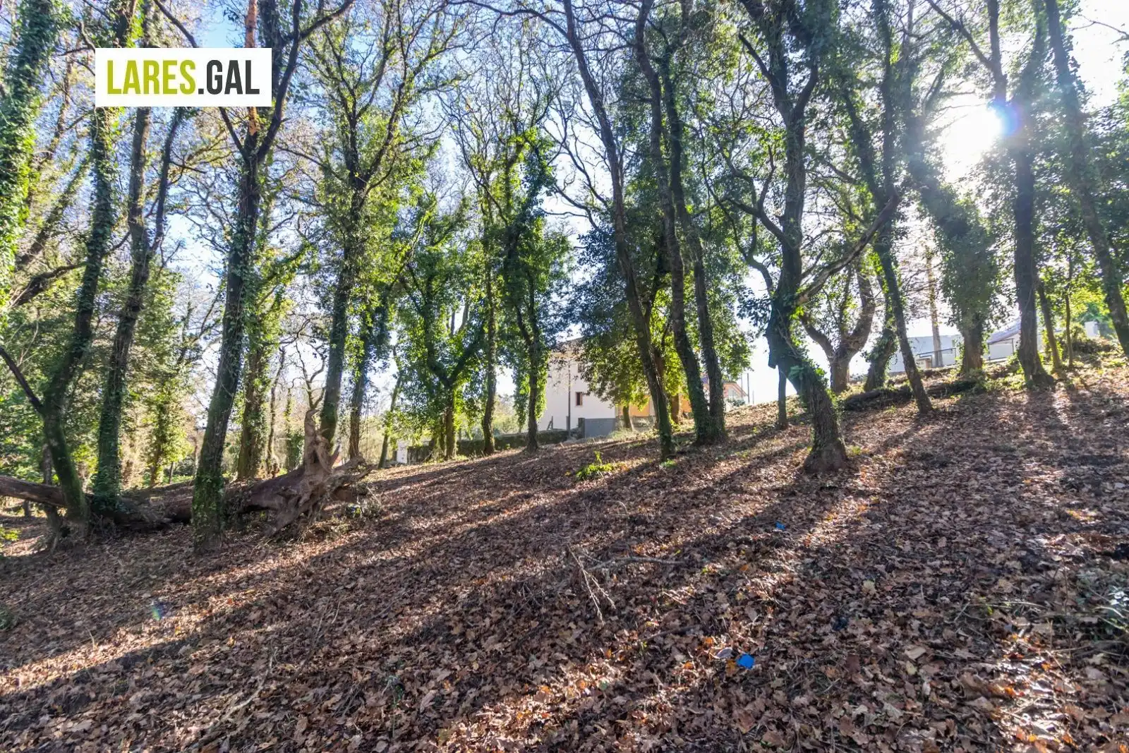 Lands and plots for sale in Rúa Ximeu, imagen 7