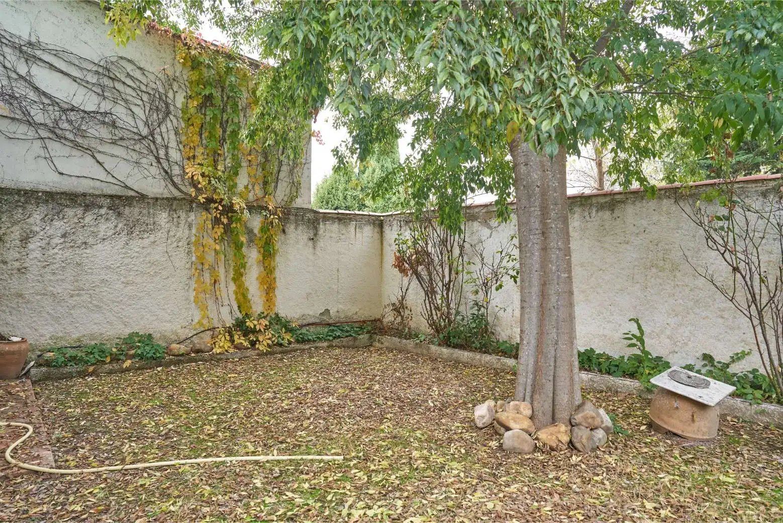 Garden of Detached homes for sale in Valdetorres de Jarama  with Private garden, Terrace and Swimming Pool
