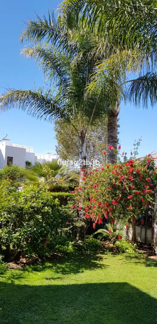 Villa mit Terrasse zum Verkauf in Avenida de las Palmeras 1, imagen 31