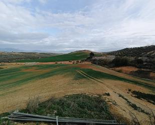 Industrial land for sale in Cijuela