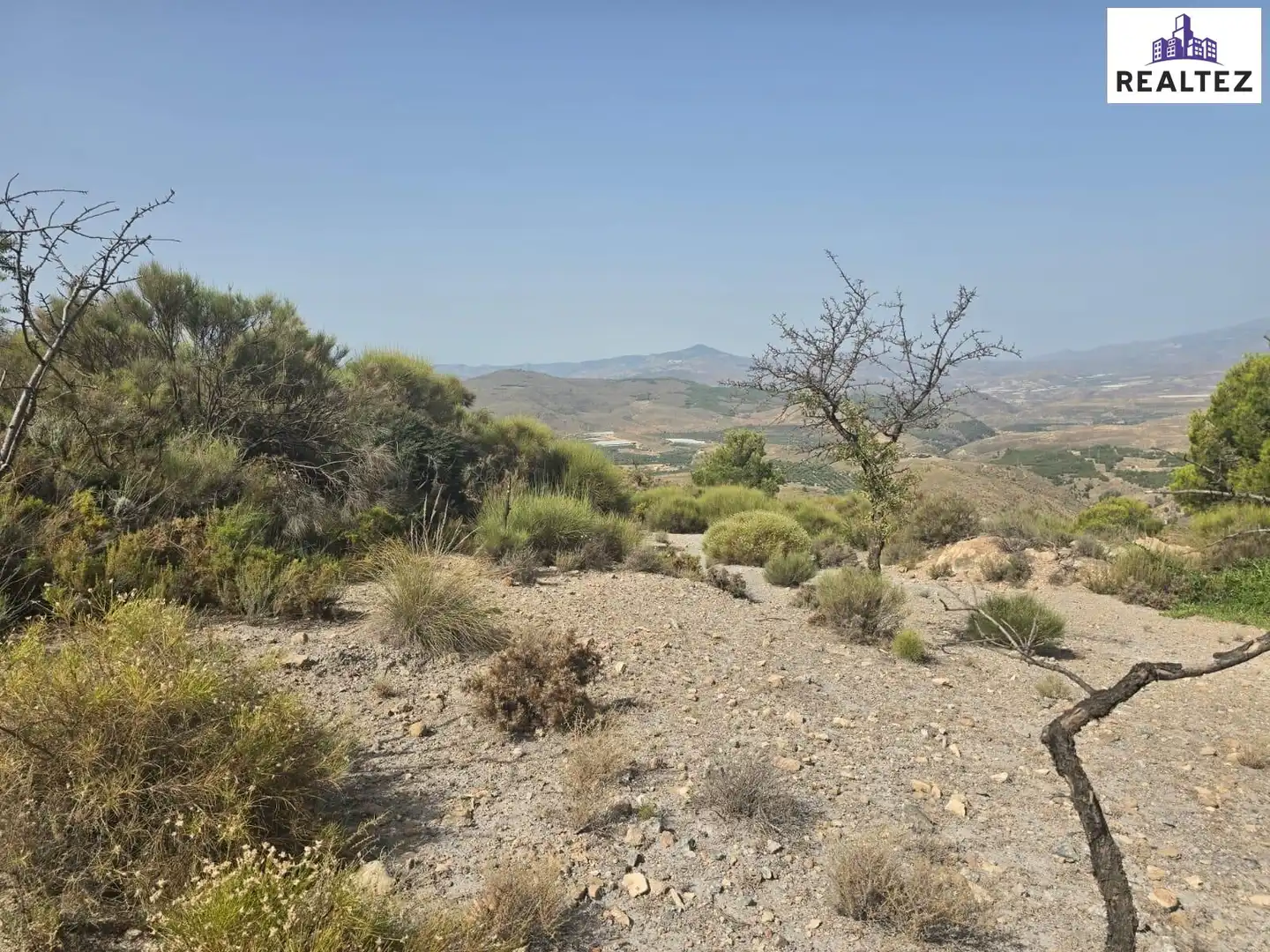 Terrain rustique à vendre à Alcolea, imagen 13