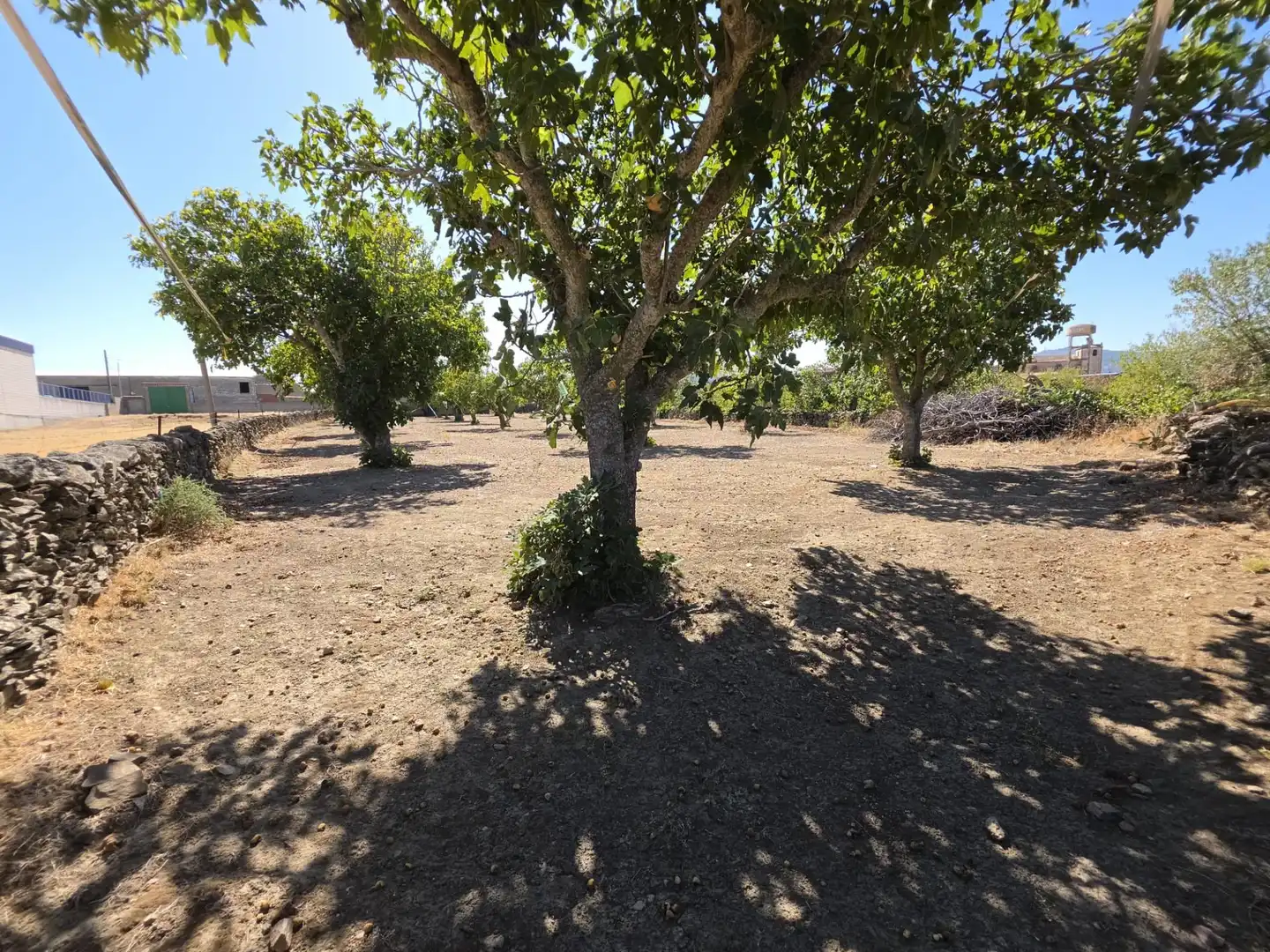 Terreny residencial en venda a Valdefuentes, imagen 8