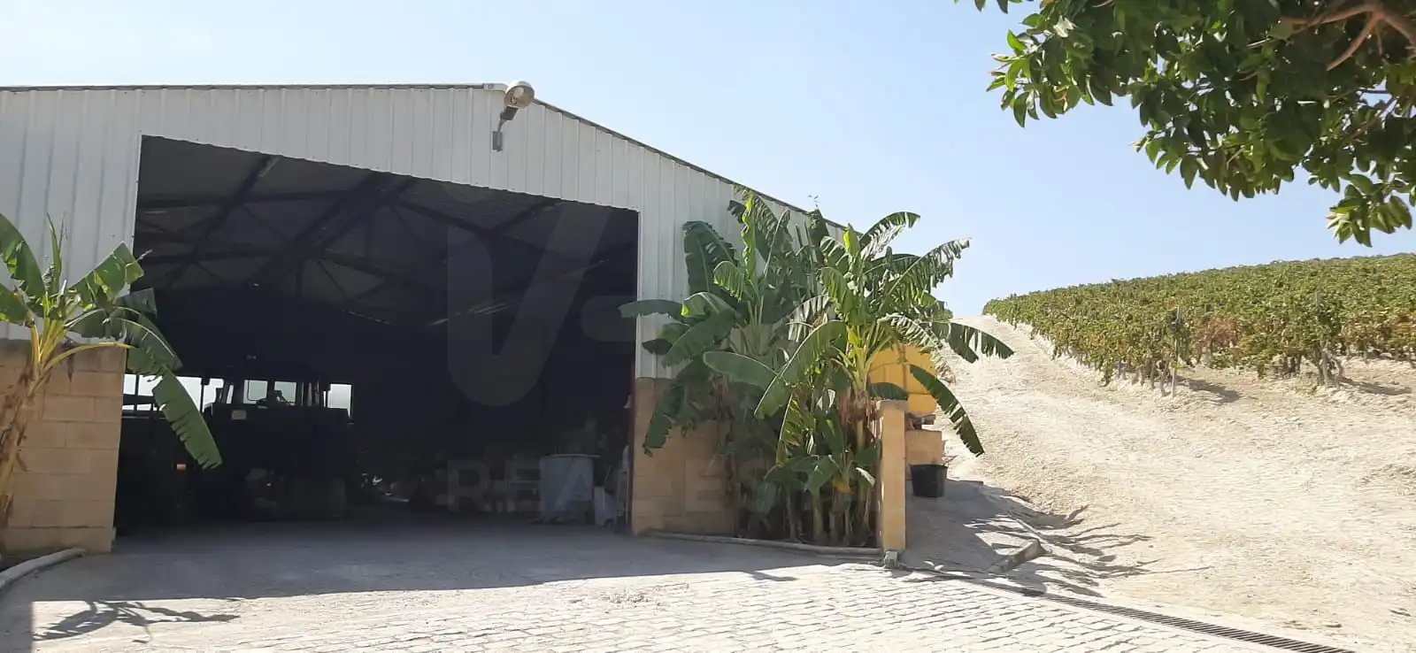 Rural land for sale in Santiago - Coronación, imagen 14