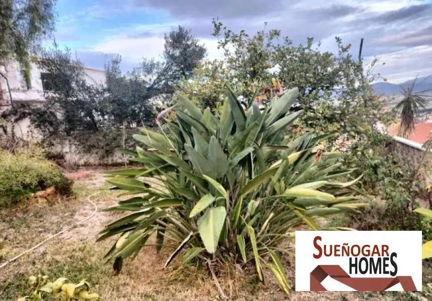 Houses for sale in Cortijo de Maza - Finca Monsalvez - El Olivar