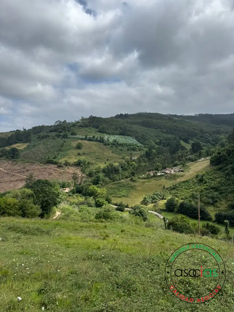 Vista exterior de Terreny en venda en Villaviciosa