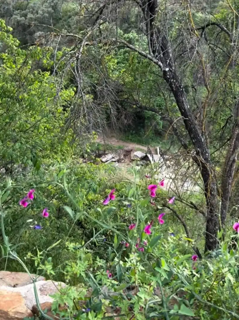 Vista exterior de Finca rústica en venta en Monda con Aire acondicionado, Jardín privado y Terraza