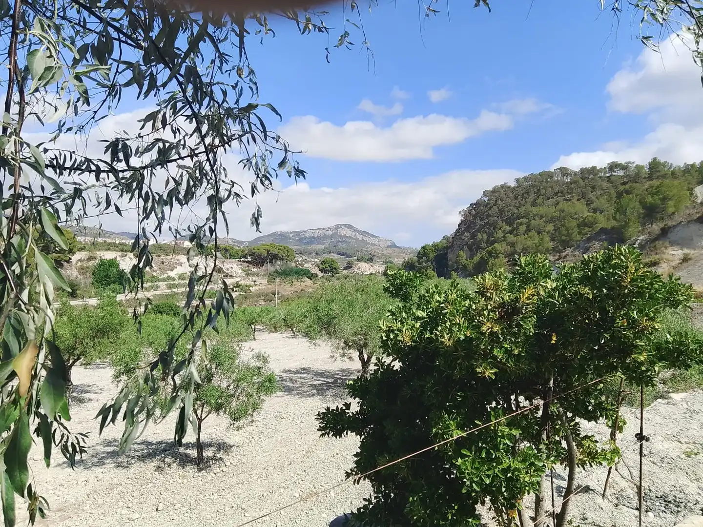 Terreno rustico in vendita a N/A, imagen 106